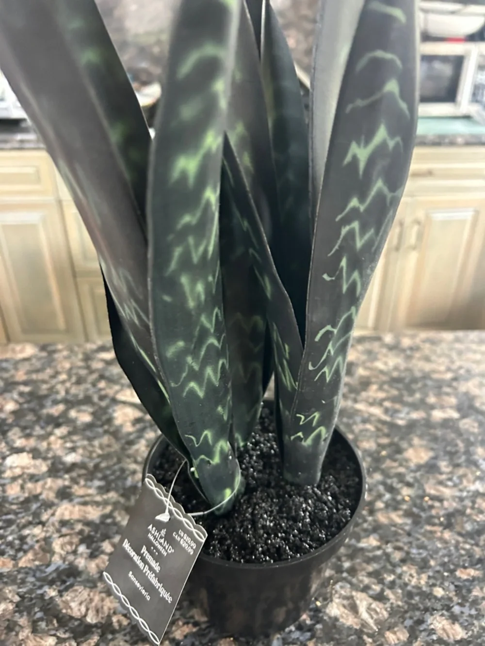 ASHLAND FAUX PREMADE SANSEVIERIA PLANT W DARK AND LIGHT GREEN LEAVES NWT